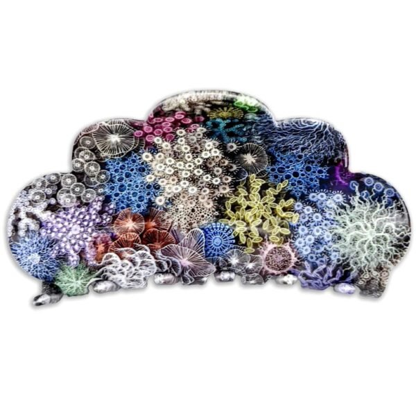 Grande pince cheveux femme – Design marin multicolore en acétate premium
